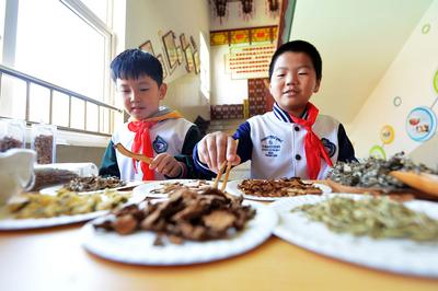 世界中医药日，孩子们学习捣药、制香囊……