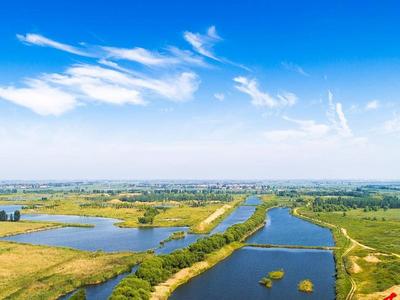 探索管理运营新模式！规范村级共富公司，莱西有了《办法》