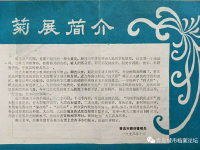 44年前的中山公园菊展啥样？戳图，感受“回忆杀”