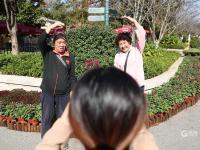 “全民摄影师”上线！中山公园进入“赏菊时间”