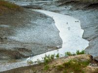 洋河入海口变“红海滩”？只因这种植物