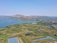 美“梨”乐农家，平度云山镇秋月梨大丰收——兴农记⑤