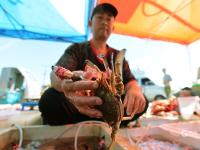 渔港实拍：亲民价小海鲜出没！吃货们注意