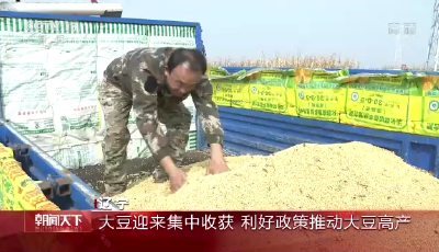 全國秋糧收獲超八成，秋冬種同步進行
