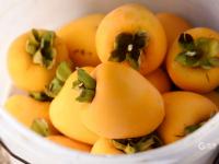 秋天的N种颜色·金|新“柿”业，满枝头！前二沟村的柿子熟啦