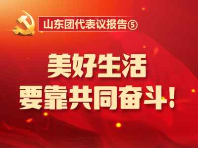 山东团代表议报告⑤丨美好生活要靠共同奋斗！