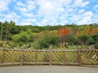 秋天的N种颜色 | 象耳山，红黄绿