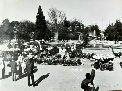 44年前的中山公园菊展啥样？戳图，感受“回忆杀”