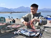 崂山码头：人间至味是鲜咸