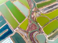 虾蟹池？几何油画？耳河村养殖基地的绝美航拍