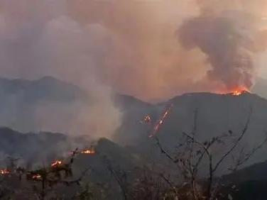 汶川地震中幸存的他，牺牲在森林火灾救援现场