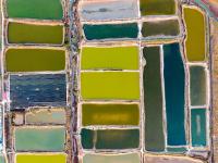 虾蟹池？几何油画？耳河村养殖基地的绝美航拍