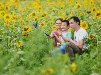 到2025年，引导各地创建30个齐鲁旅游休闲名镇！山东乡村旅游发展规划发布