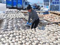 崂山码头：人间至味是鲜咸