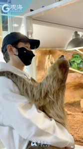 黄晓明青岛同款“闪电”在这！