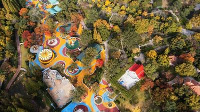 打翻了颜料盒？航拍中山公园多彩秋景