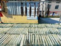 崂山码头：人间至味是鲜咸