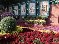 错过等一年！中山公园菊展时间过半，速来