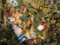 打翻了颜料盒？航拍中山公园多彩秋景