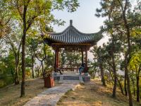 竹子庵公园：紫竹幽谷，入园赏秋正当时