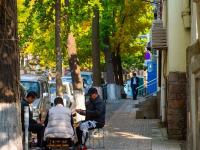 青岛老城这条“小众银杏路”颜值爆表