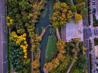 秋天的N种颜色 | 李村河畔，美呆了