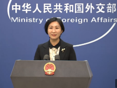 台“陆委会”称马斯克言论不可接受，外交部回应
