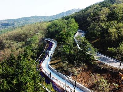 美！浮山市南片区1825米绿道全部贯通，两侧时令花卉争奇斗艳