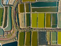 虾蟹池？几何油画？耳河村养殖基地的绝美航拍