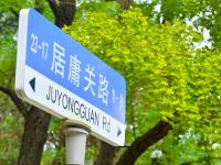 秋景上线，八大关开启“童话世界”模式