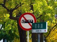 青岛老城这条“小众银杏路”颜值爆表