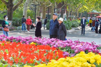 海泊河公园：秋日赏菊，“不一样的烟火”