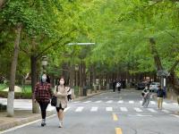 秋景上线，八大关开启“童话世界”模式