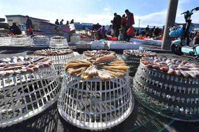 冬捕汛期到！一大波海鲜喊你来解馋，上镜头