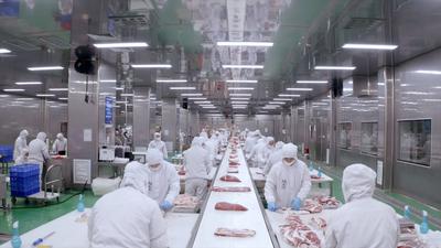 淄博高青黑牛特色小镇：数字化升级的“牛路子”