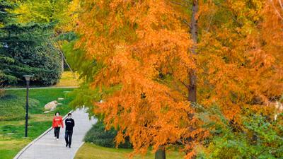 拿捏秋天的“氛围感”，还得是奥林匹克公园