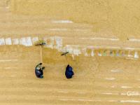 致富新“稻”路！青岛这里的水稻丰收啦