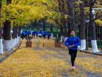 错过等一年，超美落叶季即将下线