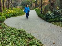 实拍中山公园花溪谷：昔日大深沟变身“花园+氧吧”