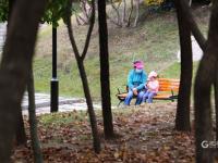 秋天的N种颜色丨赏“油画级”秋景？你可以永远相信百花苑