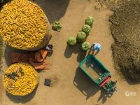 “晒秋”你见过么？宝山镇这个村美得不像话，像画