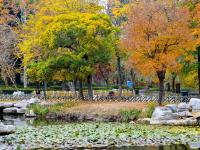 中山公园初冬“彩妆”：每一眼都惊艳