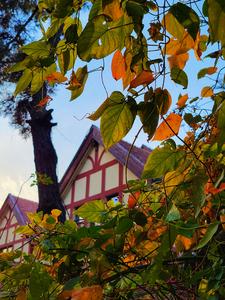 镜头小景别中的惊喜，湛山三路还可以这样拍