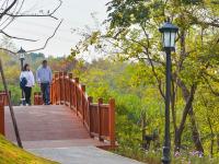 藏不住了，中山公园的花溪谷美成“世外桃源”