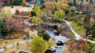 怎么拍都好看！青岛这处古风公园真“出片”