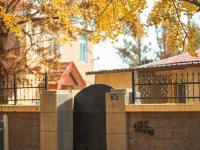 湛山三路美图：天然滤镜，满街摇曳银杏叶