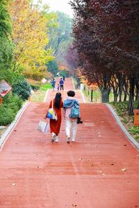 秋天的N种颜色丨奥林匹克公园实拍：留住秋天