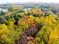 拿捏秋天的“氛围感”，还得是奥林匹克公园