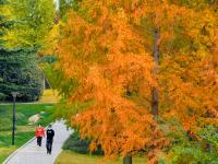 拿捏秋天的“氛围感”，还得是奥林匹克公园