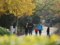 家门口的“天然氧吧” 实拍植物园初冬之美